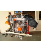 Lombardini motor